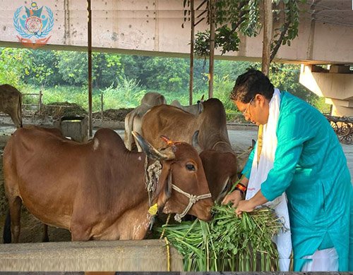 Help for poor Childrens